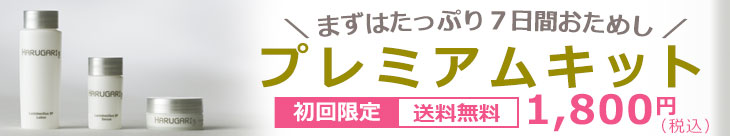 プレミアムキット1,800円